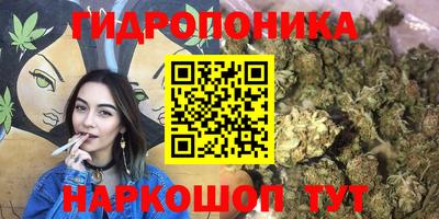 амф Когалым