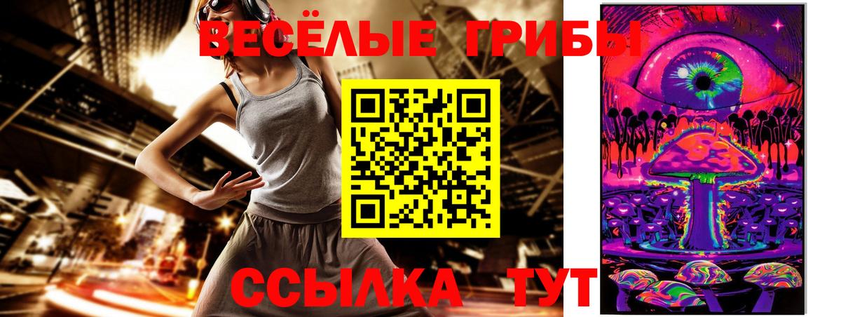 Галлюциногенные грибы Psilocybe Великие Луки